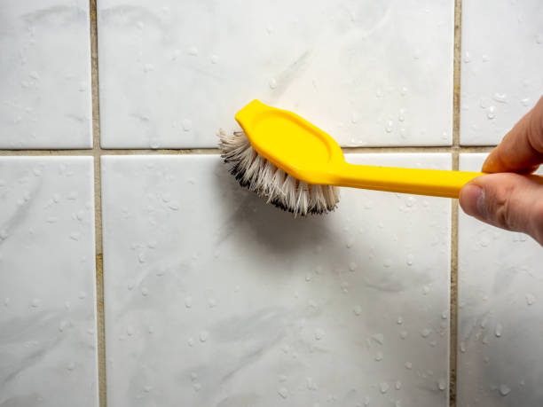 Best Certified Mold Removal  in Ruidoso Downs, NM
