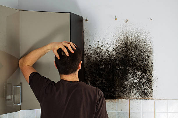 Best Mold Testing  in Ruidoso Downs, NM