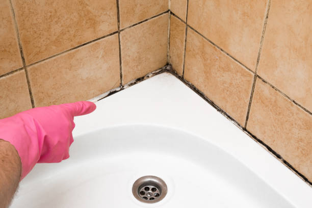 Best Mold Testing  in Ruidoso Downs, NM